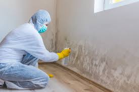 Best Industrial Mold Remediation  in Indiana, PA