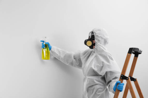 Why You Should Choose Our Mold Remediation Services in Indiana, PA